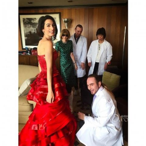 阿迈勒·克鲁尼 (Amal Clooney)