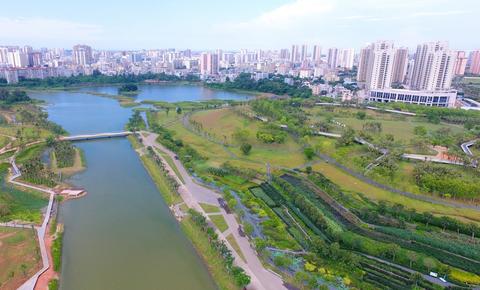 【新时代幸福美丽新边疆】海口美舍河凤翔湿地公园：把“梯田”搬到市民家门口