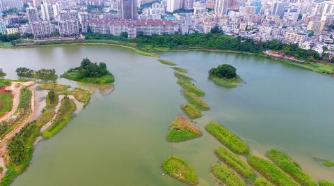 【新时代幸福美丽新边疆】海口美舍河凤翔湿地公园：把“梯田”搬到市民家门口