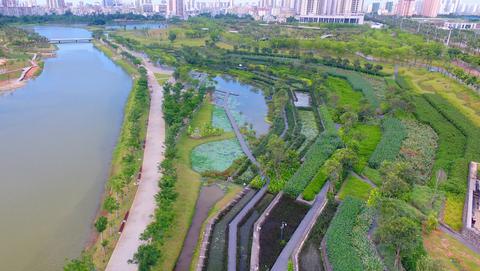 【新时代幸福美丽新边疆】海口美舍河凤翔湿地公园：把“梯田”搬到市民家门口