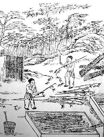 《天工开物》中的造纸术 造纸术是中国古代四大发明之一.