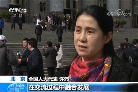 代表委员谈台湾问题反台独是中国人共同意志