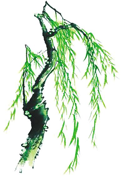 插柳或戴柳是清明踏青与护佑生命的仪式行为.