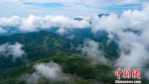 连日来暴雨天气过后,素有"江西九寨沟"之称新余市分宜县大岗山云雾