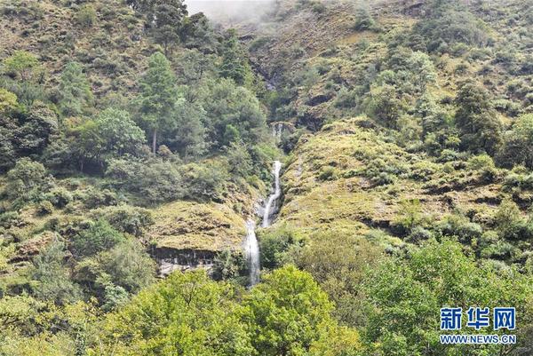 西藏山南市错那县 山水秘境勒布沟美如画 海外网手机网