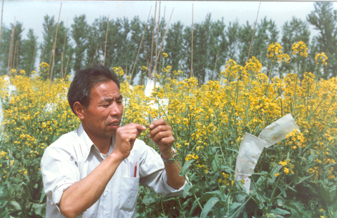 李殿荣为全国农民朋友育出最好的油菜品种