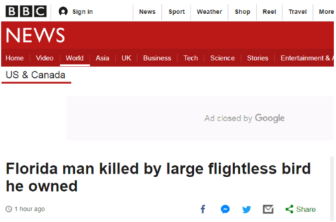 1555232358906847.png