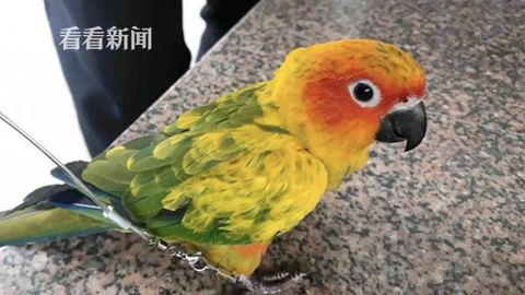 WX20190501-211121@2x.png