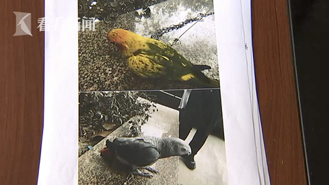 WX20190501-211112@2x.png