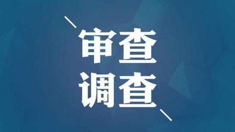 审查调查.jpg