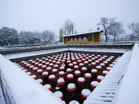 2020雪景 (5)_极速看图.jpg