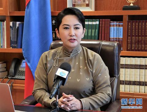 专访:"蒙中两国在抗击新冠疫情方面的合作堪称典范"――访蒙古国外长