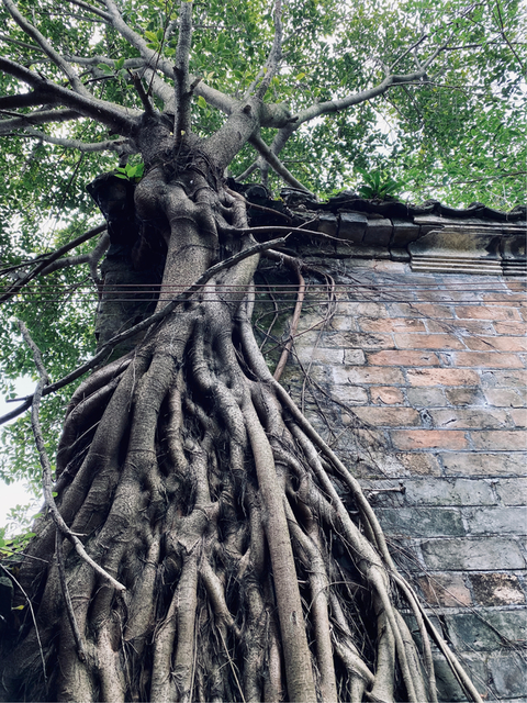 据介绍,潘益超现在居住的房屋,是父辈建造的.