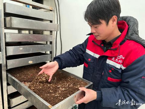 厨余垃圾处置再添“新招”