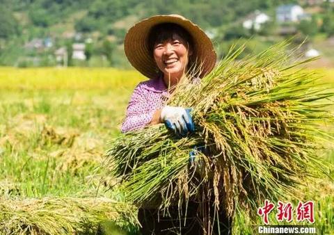 今天,请记得对他们说声"谢谢!