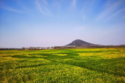 3月6日上午,2020年百花迎春暨第三屆仙居(網絡)油菜花節在光山縣仙居