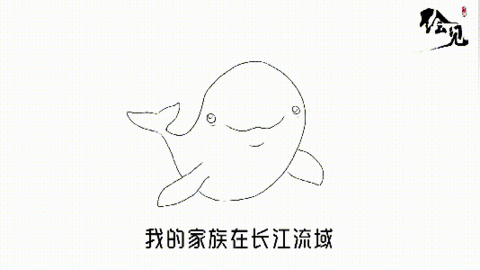 长江江豚简笔画 戏水图片